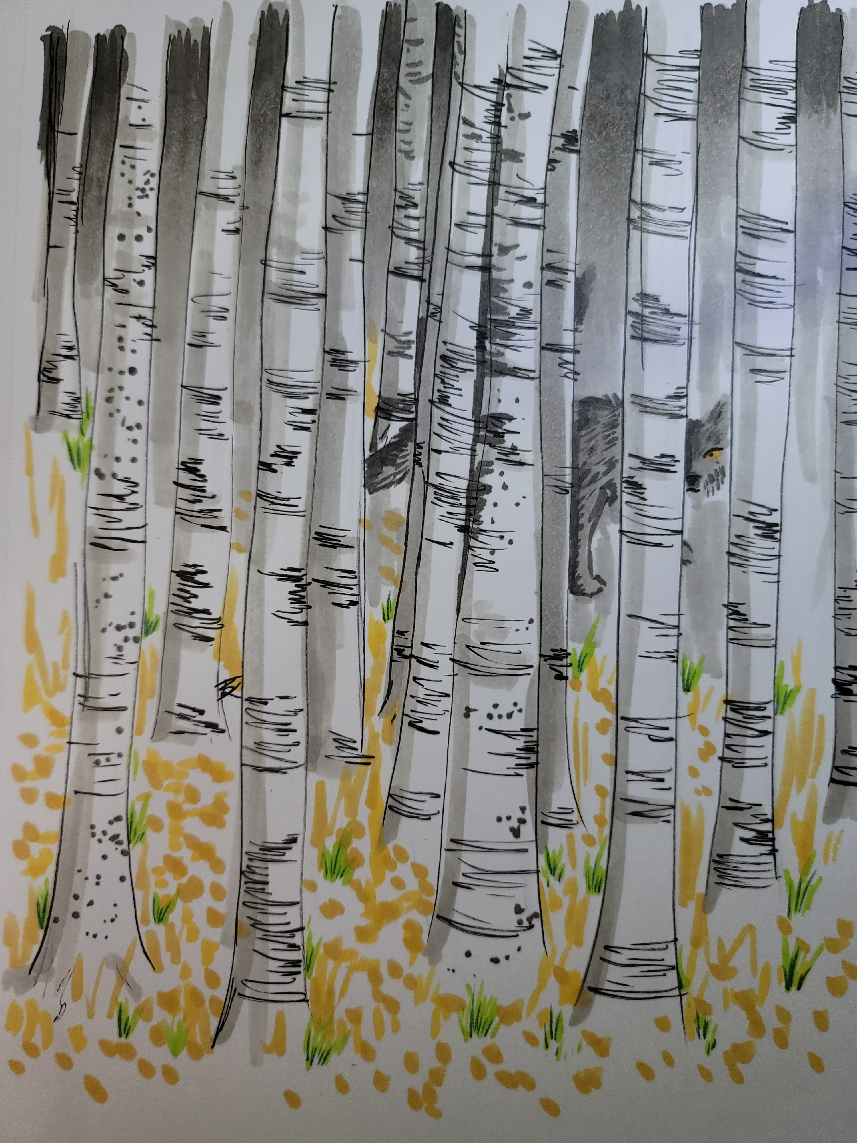 A birch forest, nothing sinister whatsoever..